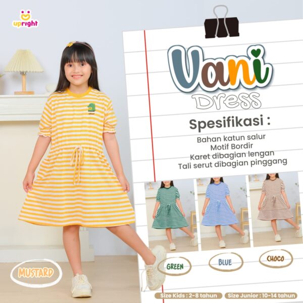 VANI DRESS