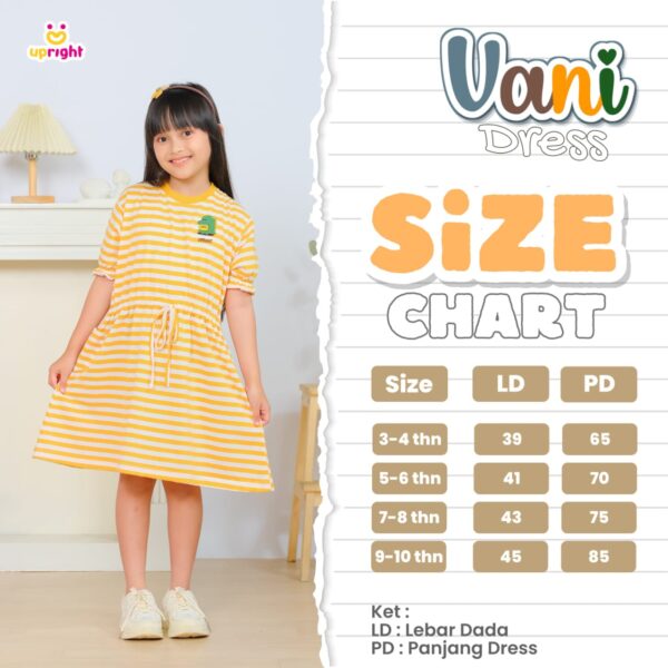 VANI DRESS