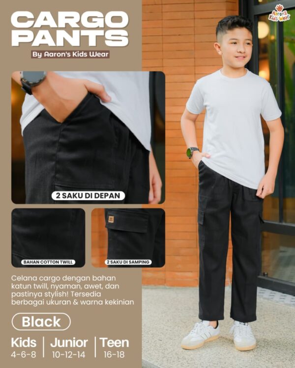 CARGO PANTS BY AARONS